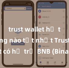 trust wallet hỗ trợ mạng nào tốt nhất Trust Wallet có hỗ trợ BNB (Binance Coin) không?