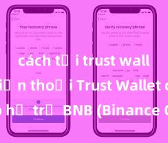 cách tải trust wallet về điện thoại Trust Wallet có hỗ trợ BNB (Binance Coin) không?