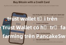 trust wallet tải trên app store Trust Wallet có hỗ trợ farming trên PancakeSwap không?