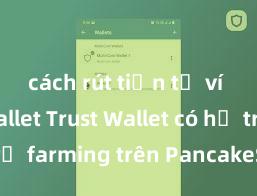 cách rút tiền từ ví trust wallet Trust Wallet có hỗ trợ farming trên PancakeSwap không?